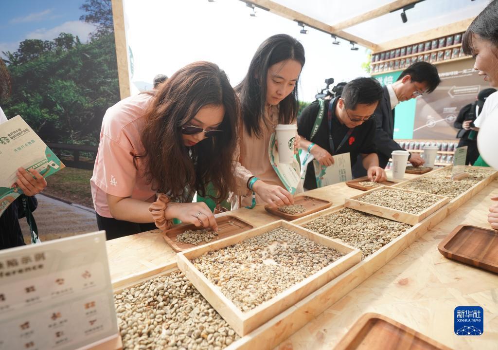 共享棋牌官方网站